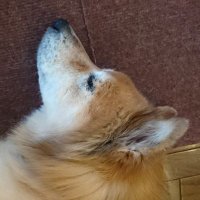 ぶんご (@s4xptkjm3gnlpo2) 's Twitter Profile Photo ぶんご (@s4xptkjm3gnlpo2) 's Twitter Profile Photo