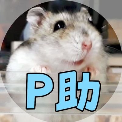 peace_k_pentan's profile picture. 人生初の飼い主という立場になった記録。愛玩動物飼養管理士2級合格した奇跡かよ
【ぱん子】'24.4.3生【ぱたお】'25.4.29生【しる子】'25.9.15生
空組🌈 P助・はな・てん子・Pの助・みち子・こてん子・P太郎