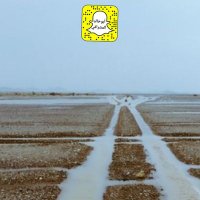 ⛈ابوخالد المشرافي ⛈ (@1abokhalid1) 's Twitter Profile Photo ⛈ابوخالد المشرافي ⛈ (@1abokhalid1) 's Twitter Profile Photo