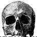 everythingSKULL (@everythingskull) Twitter profile photo everythingSKULL (@everythingskull) Twitter profile photo