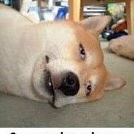 PlanetCarol's profile picture. Mouthy Broad