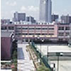 滋賀県草津市にある全日制・昼間定時制・通信制が併設された綾羽高等学校の公式アカウントです。