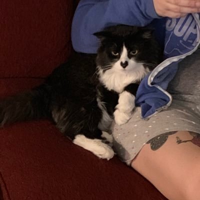 temp account while EGrassi87 is suspended