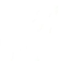 ْ (@maithabusaber) Twitter profile photo