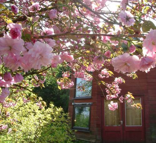 themillstudio's profile picture. Permantly closed in 2022. Recording studio near Norwich UK. Established for 25 years. Unique environment, friendly, relaxed staff, GREAT sound.