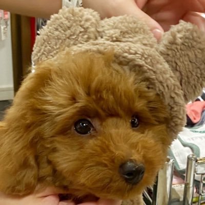 sioさんのプロフィール画像