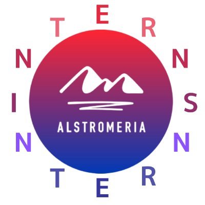 株式会社アルストロメリアは福島県のITマーケティング広告企業です。アルストロメリアインターン生専用のアカウントで、活動内容をお届けします！instagram→alstromeria_office