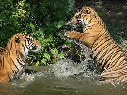 Soetmelksvlei's profile picture. 