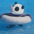 サイパン大好き♪ (@meidive1968) 's Twitter Profile Photo