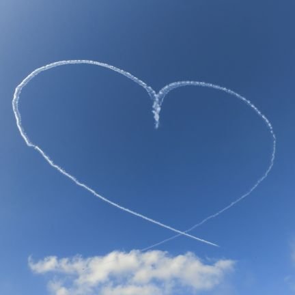 ブルーインパルスが好きです✨️✈️
飛行機や戦闘機も好きです✨️