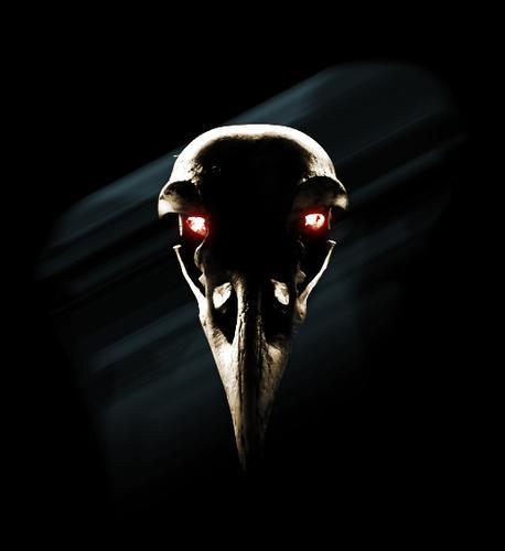 RooksHead's profile picture. Opinions expressed here are NOT my own. They’re culturally dictated and self-censored in order to appear social.