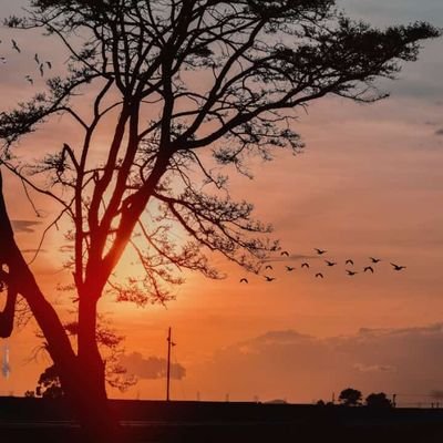ClassesEssays's profile picture. send a DM to place an order for your first FREE ASSIGNMENT, ESSAY,EXAM &amp; any other CLASS ASSIGNMENT in our group of writers who are members @ http://uvocorp.com