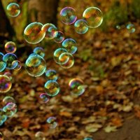 Bubbles McKnight (@bubblesmcknight) 's Twitter Profile Photo Bubbles McKnight (@bubblesmcknight) 's Twitter Profile Photo