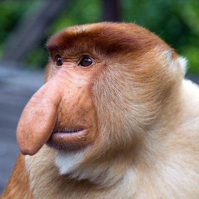 DesiSailor's profile picture. Professor of All Political Science at Jio Institute...