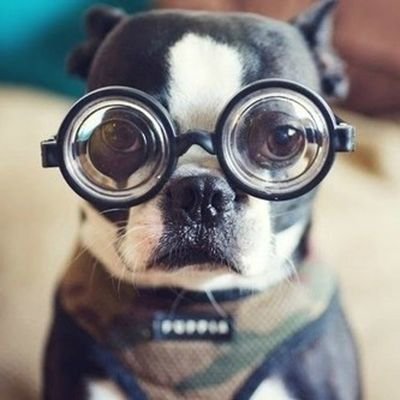 b1tm0ran's profile picture. 