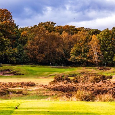 Course Manager Sutton Coldfield Golf Club. Independent course consultant.
