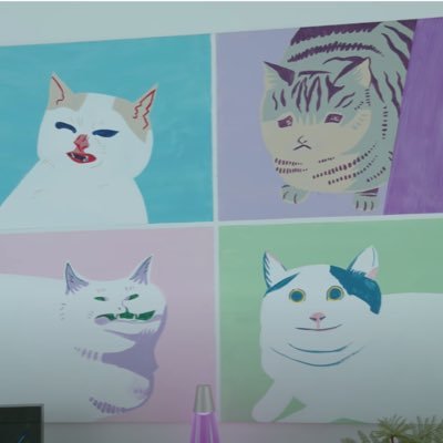 nessascatart's profile picture. van gough wishes he was my owner • @vanessamerrell @veronicamerrell @merrelltwins