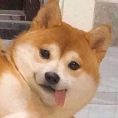 Harbeh12's profile picture. 