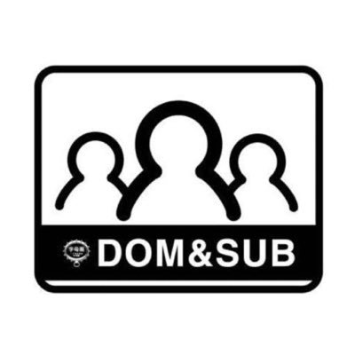 DOMSUB群