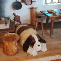 【非公式】中央大学生協多摩書籍店 (@uo_chuocoopbook) 's Twitter Profile Photo 【非公式】中央大学生協多摩書籍店 (@uo_chuocoopbook) 's Twitter Profile Photo