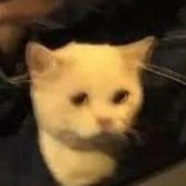 ti_tzy's profile picture. https://t.co/1fQq3UGnsL