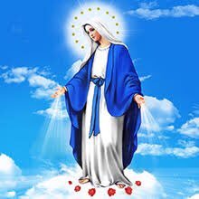 vinhphong79's profile picture. 