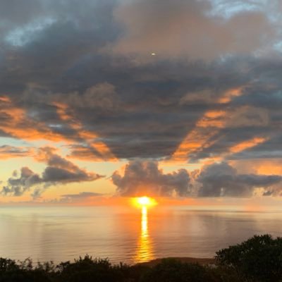 IndienPirate's profile picture. 