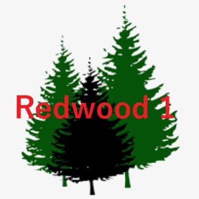 Redwood1