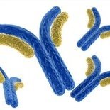 MGH Allergy & Immunology Fellowship (@mghaifellows) 's Twitter Profile