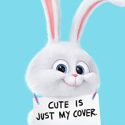 MustaphaFaizat's profile picture. Be yourself