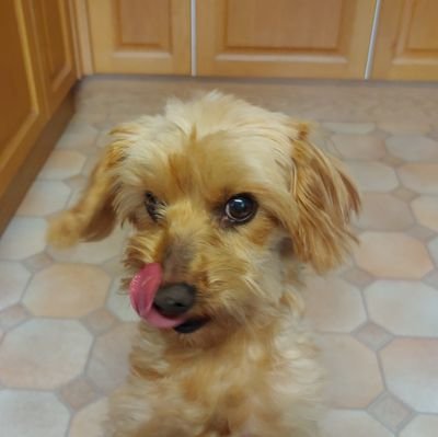 ConnieMonster's profile picture. 