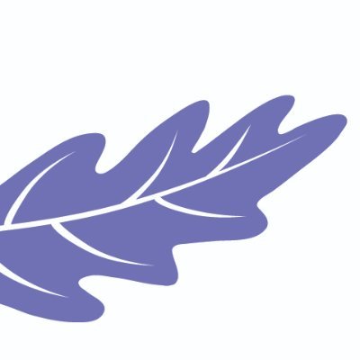 Educator on child sexual abuse and exploitation at Purple Leaf Education, WMRSASC.
Diversity Group facilitator.
Pronouns she/her. Posts reflect my own views.