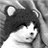 anine16's profile image