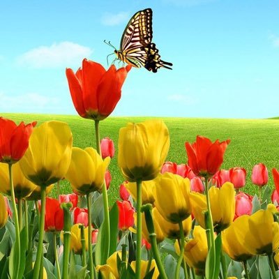 god is one#god is great