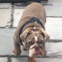 Ray johnson (@rayjohnson56) 's Twitter Profile