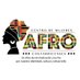 Centro de Mujeres Afro (@mujeresafrocr) Twitter profile photo