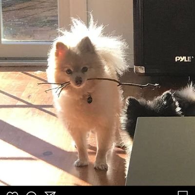 Hizeek2010's profile picture. Biotechnologist, Scientists,