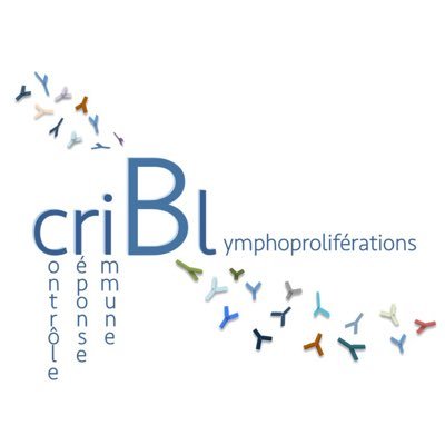 Laboratoire de #recherche en immunologie CRIBL #Limoges - @unilim @CNRS 7276 @INSERM 1262 #bcell #cancer #anticorps #antibody #lymphoma #amyloidosis