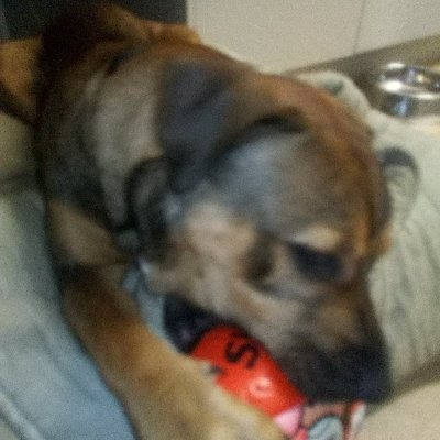 ackland_lauren's profile picture. 