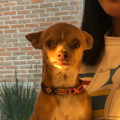 alexaguido6's profile picture. 🪐🪐🪐