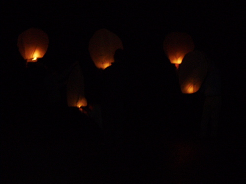 HopeEThomas's profile picture. Emergency Planner for Cumbria…….Get your 💉