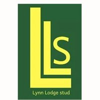 Lynn Lodge Stud(@LynnStud) 's Twitter Profile Photo