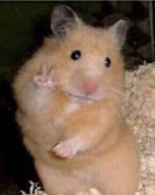 P6PcglTB5m1DfVv's profile picture. แงงง หวัดดีค้าบ💗🙆🏻‍♀️
เค้าเป็นคนชอบน้องเพลงน้า💫เ
แต่ไม่เพราะหรอก แฮ่ๆ🎨
ฟังได้ก็เข้ามาฟังกันน้า🎶
ติเค้าได้ค้าบ🧸
ชมเค้าหน่อยก็ได้ค้าบ🧵🧶
————————————————