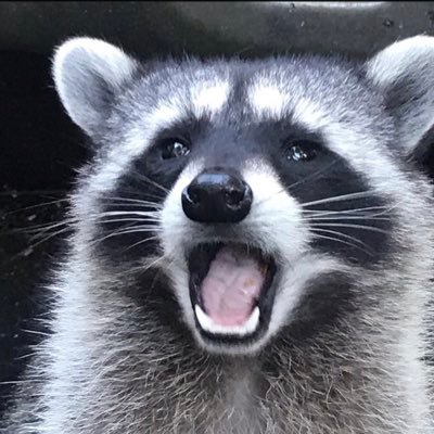 turbomerlot's profile picture. Bio goes here