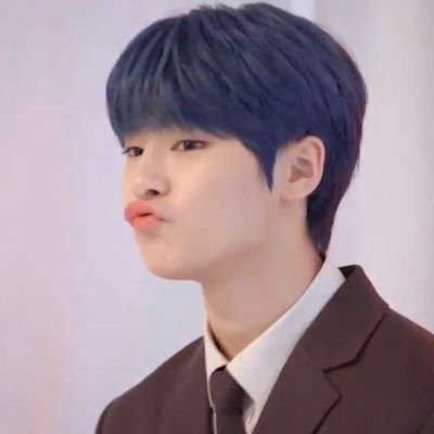 스테이 & 트메 💕 @stray_kids & @ygtreasuremaker 🦊정인 😺민호 🐯요시노리 ♪ ♬ ヾ(´︶`♡)ノ ♬ ♪ #ดาษไขintwit