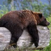 yorgunay5's profile picture. Retweet ve beğeniler sadece kendime arşiv içindir. Takipçi kabul edilmez.