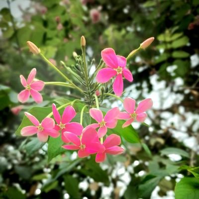 RachanaJigar's profile picture. 