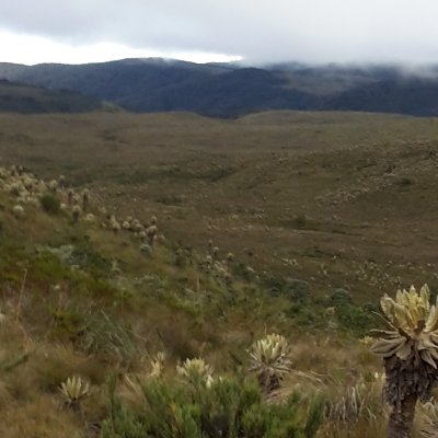 CampsinosParamo's profile picture. Campesino Páramo