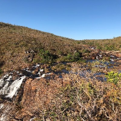 marciliolbo's profile picture. 