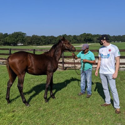 vExpert x4 and Senior Consultant @27virtual, Thoroughbred Owner @racingwithihr, Florida Panthers #timetohunt